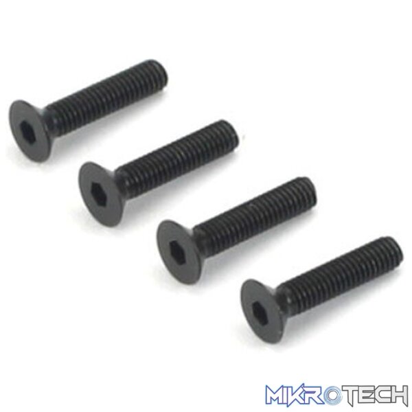 Flat Head Socket Screws 3x14mm Flat Head Socket Screws 3x14mm