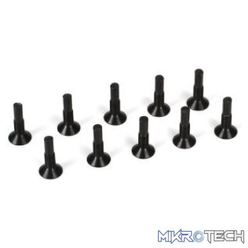 Front Outer Hinge Pin Screw (4): Twin Ha