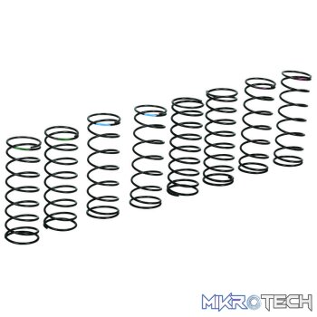 Front Racing Spring Set: TEN