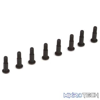 King Pin Screws (8): 22-4