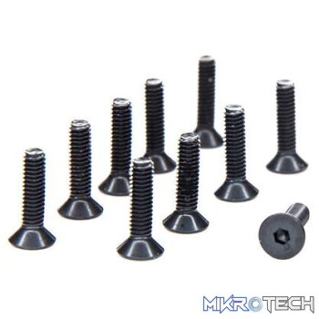 M2.5 x 10mm Flat Head Screw (10)