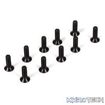 * M3 x 10mm Flat Head Screw (10)