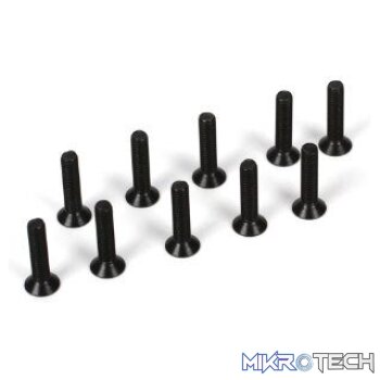 M3 x 14mm Flat Head Screw (10)