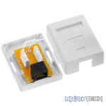 Netix Cat 6 Surface Mount Box Single - Image 3