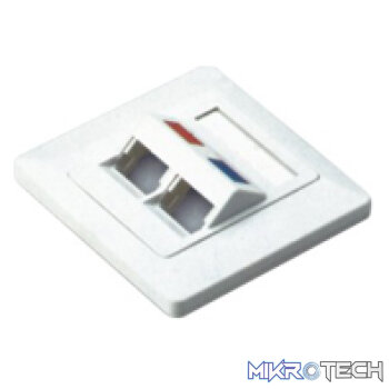 NetixAngled Face Plate Dual Port with Shuttle
