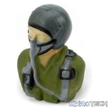 * Painted Pilot: Habu