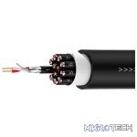 Roxtone - 12 Way Multicore Audio Cable