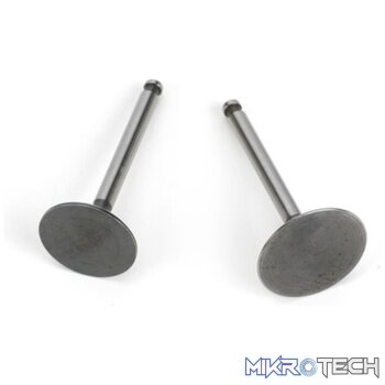 Valve (In&Out) Pair: FG-36