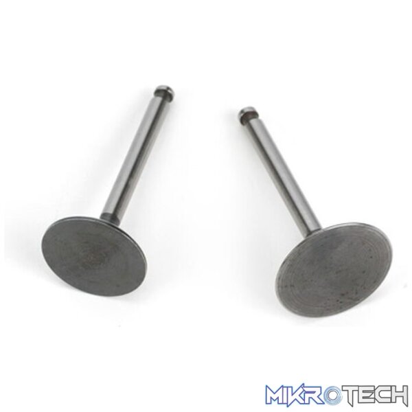 Valve (In&Out) Pair: FG-36 Valve (In&Out) Pair: FG-36