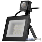 Switched Classic 30W LED Flood Light with Automatic Motion Sensor SWD-10016-30