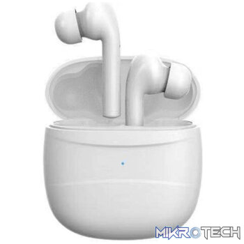 TWS Wireless Bluetooth Earbuds with Charging Box