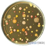 9 gross science experiments - Image 4