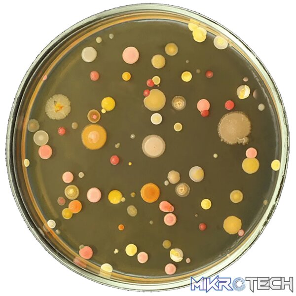 9 gross science experiments - Image 4
