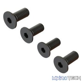 Flat Head Screw M4x10mm (4)