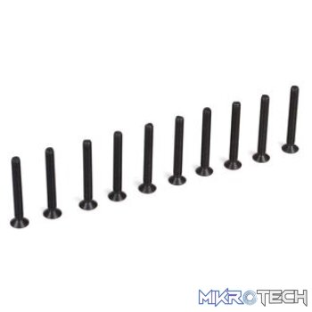 Flat Head Screws M3 x 25mm (10)