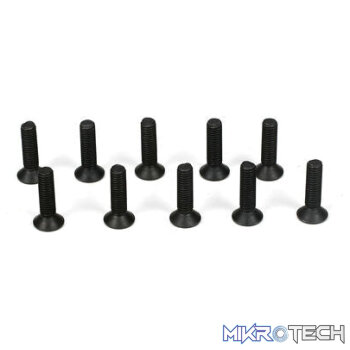 Flathead Screw M3 x 12mm (10)
