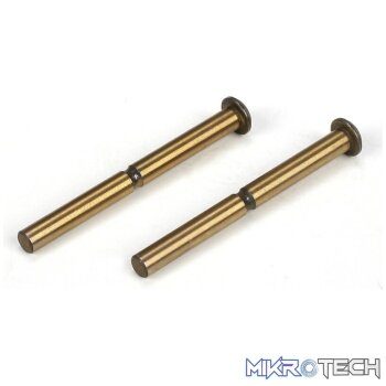 Hinge Pin Set: Front Inner (2): 22