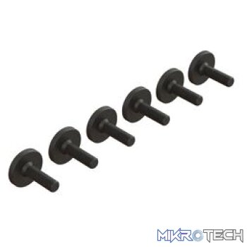 Large Head Screw M3x10mm (6)