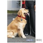 MiTag Android Tag with Keyring - 1 Pack - Image 4