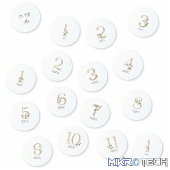 Milestone Cards - Floral
