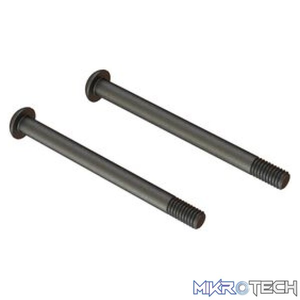 Screw Hinge Pin M4x48mm (2) Screw Hinge Pin M4x48mm (2)