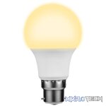 Switched 5w A60 Light Bulb B22 - Warm White - Image 3